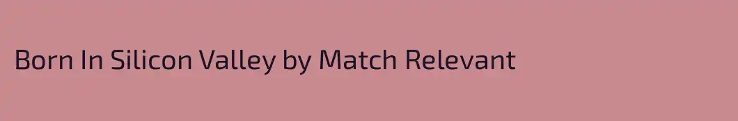 Born In Silicon Valley by Match Relevant